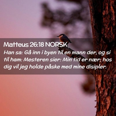 Picture 02 - Matteus 26:18 NORSK - Han sa: Gå inn i byen til en mann der, og si til - Bible Verse Picture