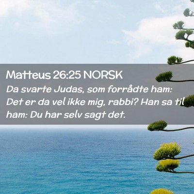 Picture 02 - Matteus 26:25 NORSK - Da svarte Judas, som forrådte ham: Det er da vel - Bible Verse Picture