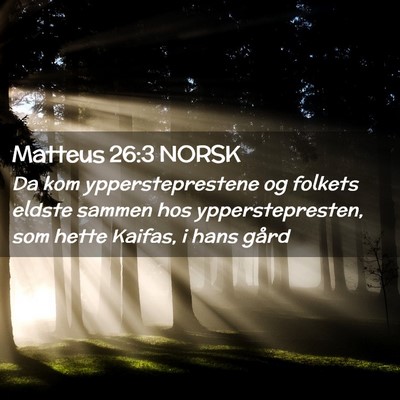 Picture 02 - Matteus 26:3 NORSK - Da kom yppersteprestene og folkets eldste sammen - Bible Verse Picture