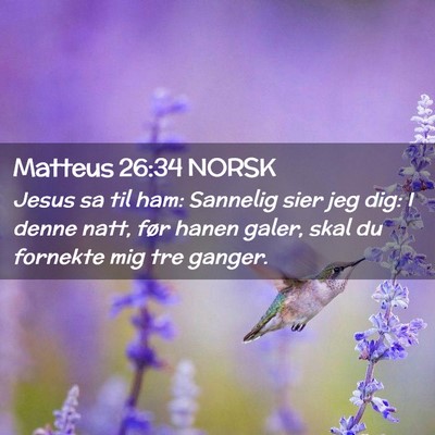 Picture 02 - Matteus 26:34 NORSK - Jesus sa til ham: Sannelig sier jeg dig: I denne - Bible Verse Picture