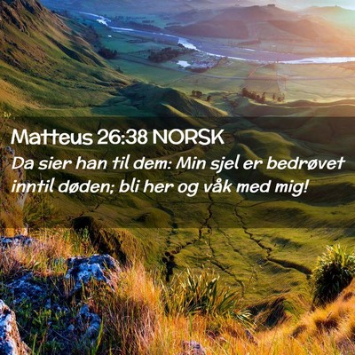 Picture 02 - Matteus 26:38 NORSK - Da sier han til dem: Min sjel er bedrøvet inntil - Bible Verse Picture