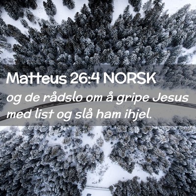 Picture 02 - Matteus 26:4 NORSK - og de rådslo om å gripe Jesus med list og slå - Bible Verse Picture