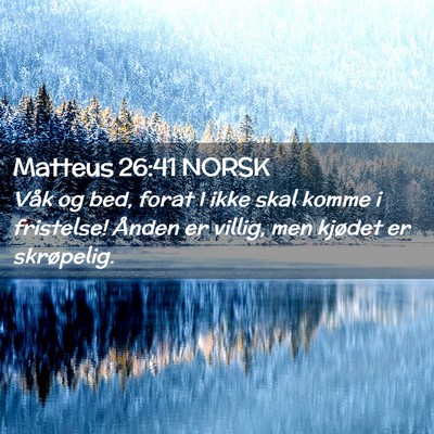 Picture 02 - Matteus 26:41 NORSK - Våk og bed, forat I ikke skal komme i fristelse! - Bible Verse Picture