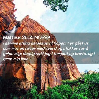 Picture 02 - Matteus 26:55 NORSK - I samme stund sa Jesus til hopen: I er gått ut - Bible Verse Picture