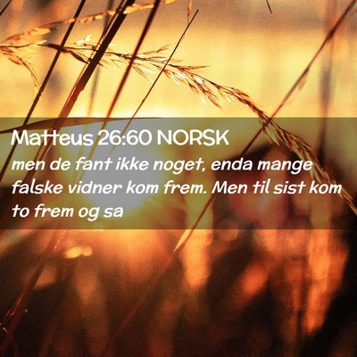 Picture 02 - Matteus 26:60 NORSK - men de fant ikke noget, enda mange falske vidner - Bible Verse Picture