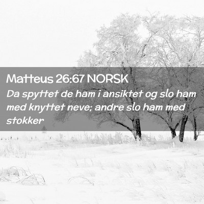 Picture 02 - Matteus 26:67 NORSK - Da spyttet de ham i ansiktet og slo ham med - Bible Verse Picture