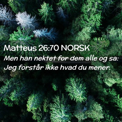 Picture 02 - Matteus 26:70 NORSK - Men han nektet for dem alle og sa: Jeg forstår - Bible Verse Picture