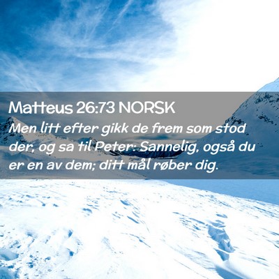 Picture 02 - Matteus 26:73 NORSK - Men litt efter gikk de frem som stod der, og sa - Bible Verse Picture