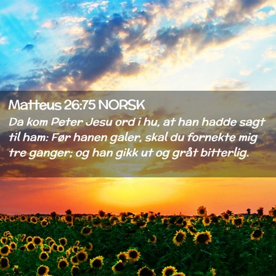 Picture 02 - Matteus 26:75 NORSK - Da kom Peter Jesu ord i hu, at han hadde sagt til - Bible Verse Picture