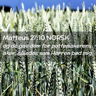 Picture 02 - Matteus 27:10 NORSK - og de gav dem for pottemakerens aker, således - Bible Verse Picture
