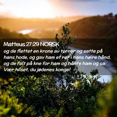 Picture 02 - Matteus 27:29 NORSK - og de flettet en krone av torner og satte på - Bible Verse Picture