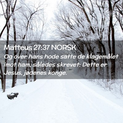 Picture 02 - Matteus 27:37 NORSK - Og over hans hode satte de klagemålet imot ham, - Bible Verse Picture