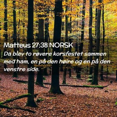 Picture 02 - Matteus 27:38 NORSK - Da blev to røvere korsfestet sammen med ham, en - Bible Verse Picture