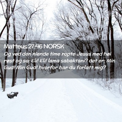 Picture 02 - Matteus 27:46 NORSK - Og ved den niende time ropte Jesus med høi røst - Bible Verse Picture