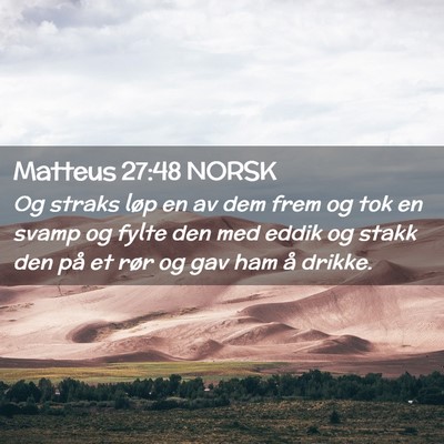 Picture 02 - Matteus 27:48 NORSK - Og straks løp en av dem frem og tok en svamp og - Bible Verse Picture