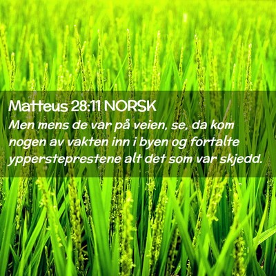 Picture 02 - Matteus 28:11 NORSK - Men mens de var på veien, se, da kom nogen av - Bible Verse Picture