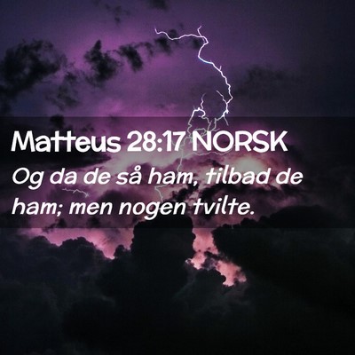 Picture 02 - Matteus 28:17 NORSK - Og da de så ham, tilbad de ham; men nogen - Bible Verse Picture