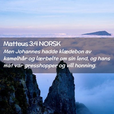Picture 02 - Matteus 3:4 NORSK - Men Johannes hadde klædebon av kamelhår og - Bible Verse Picture