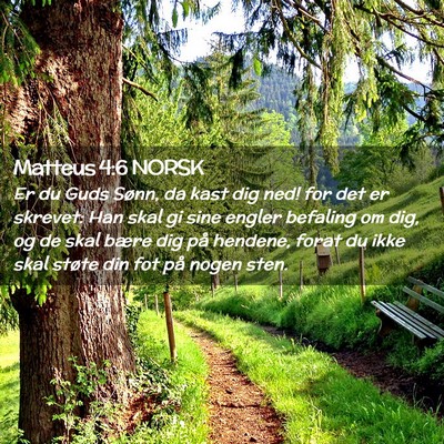 Picture 02 - Matteus 4:6 NORSK - Er du Guds Sønn, da kast dig ned! for det er - Bible Verse Picture