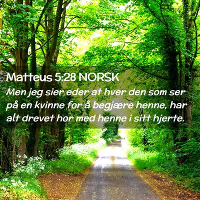 Picture 02 - Matteus 5:28 NORSK - Men jeg sier eder at hver den som ser på en - Bible Verse Picture