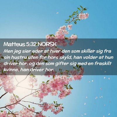 Picture 02 - Matteus 5:32 NORSK - Men jeg sier eder at hver den som skiller sig fra - Bible Verse Picture