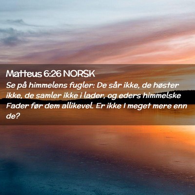 Picture 02 - Matteus 6:26 NORSK - Se på himmelens fugler: De sår ikke, de høster - Bible Verse Picture