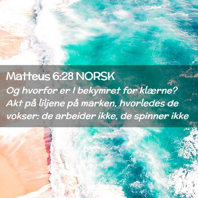 Picture 02 - Matteus 6:28 NORSK - Og hvorfor er I bekymret for klærne? Akt på - Bible Verse Picture