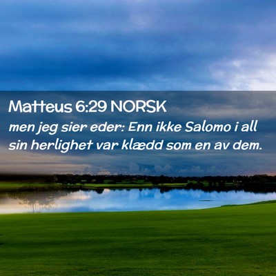 Picture 02 - Matteus 6:29 NORSK - men jeg sier eder: Enn ikke Salomo i all sin - Bible Verse Picture