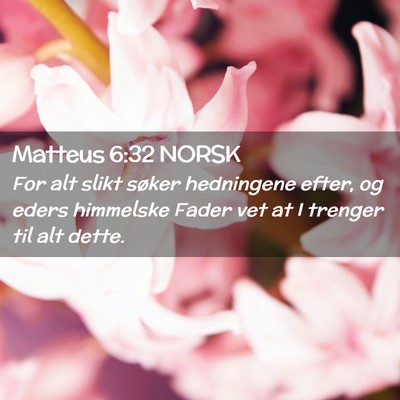 Picture 02 - Matteus 6:32 NORSK - For alt slikt søker hedningene efter, og eders - Bible Verse Picture