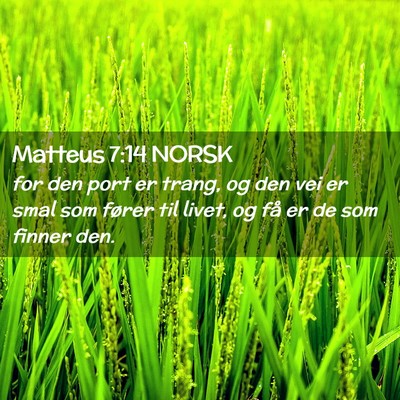 Picture 02 - Matteus 7:14 NORSK - for den port er trang, og den vei er smal som - Bible Verse Picture