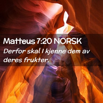 Picture 02 - Matteus 7:20 NORSK - Derfor skal I kjenne dem av deres - Bible Verse Picture