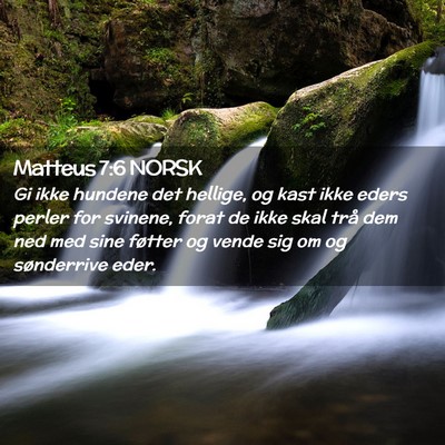 Picture 02 - Matteus 7:6 NORSK - Gi ikke hundene det hellige, og kast ikke eders - Bible Verse Picture