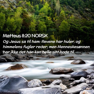 Picture 02 - Matteus 8:20 NORSK - Og Jesus sa til ham: Revene har huler, og - Bible Verse Picture