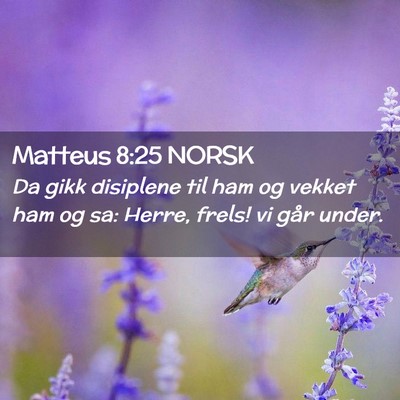 Picture 02 - Matteus 8:25 NORSK - Da gikk disiplene til ham og vekket ham og sa: - Bible Verse Picture