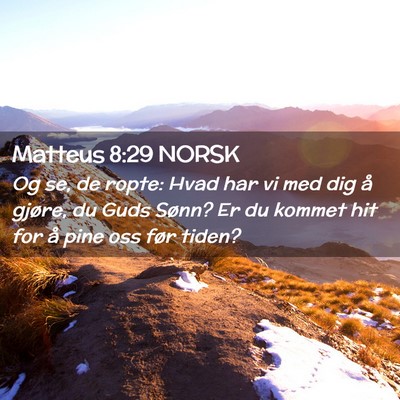 Picture 02 - Matteus 8:29 NORSK - Og se, de ropte: Hvad har vi med dig å gjøre, - Bible Verse Picture