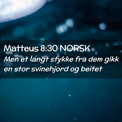 Picture 02 - Matteus 8:30 NORSK - Men et langt stykke fra dem gikk en stor - Bible Verse Picture