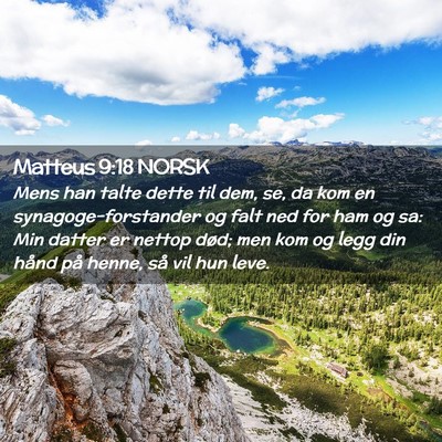 Picture 02 - Matteus 9:18 NORSK - Mens han talte dette til dem, se, da kom en - Bible Verse Picture