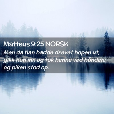 Picture 02 - Matteus 9:25 NORSK - Men da han hadde drevet hopen ut, gikk han inn og - Bible Verse Picture