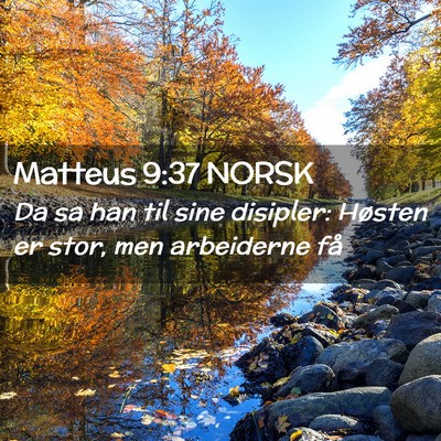 Picture 02 - Matteus 9:37 NORSK - Da sa han til sine disipler: Høsten er stor, men - Bible Verse Picture