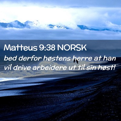 Picture 02 - Matteus 9:38 NORSK - bed derfor høstens herre at han vil drive - Bible Verse Picture