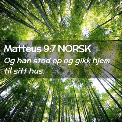 Picture 02 - Matteus 9:7 NORSK - Og han stod op og gikk hjem til sitt - Bible Verse Picture