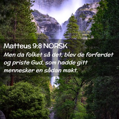 Picture 02 - Matteus 9:8 NORSK - Men da folket så det, blev de forferdet og - Bible Verse Picture