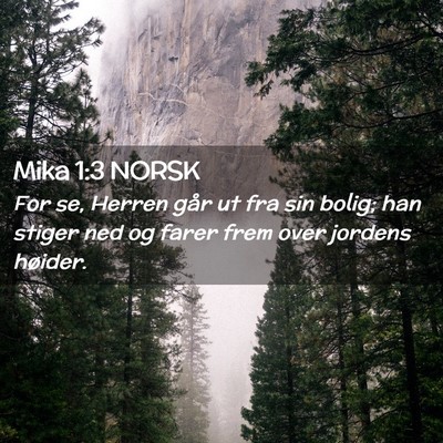 Picture 02 - Mika 1:3 NORSK - For se, Herren går ut fra sin bolig; han stiger - Bible Verse Picture