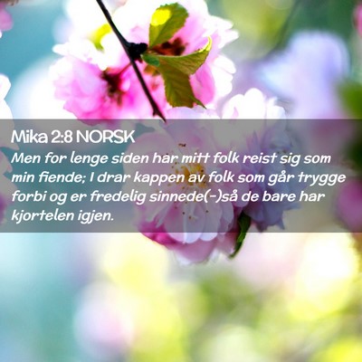 Picture 02 - Mika 2:8 NORSK - Men for lenge siden har mitt folk reist sig som - Bible Verse Picture