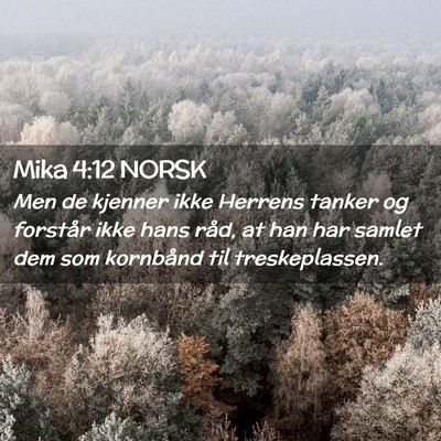 Picture 02 - Mika 4:12 NORSK - Men de kjenner ikke Herrens tanker og forstår - Bible Verse Picture