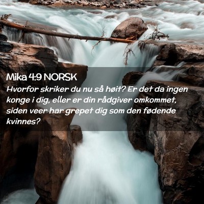 Picture 02 - Mika 4:9 NORSK - Hvorfor skriker du nu så høit? Er det da ingen - Bible Verse Picture