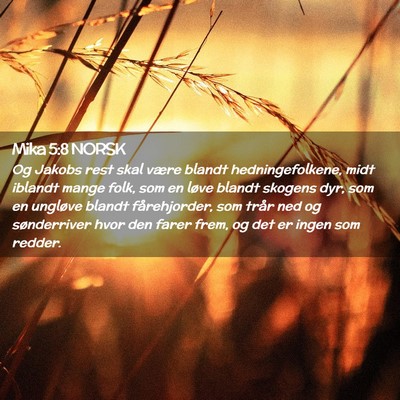 Picture 02 - Mika 5:8 NORSK - Og Jakobs rest skal være blandt hedningefolkene, - Bible Verse Picture