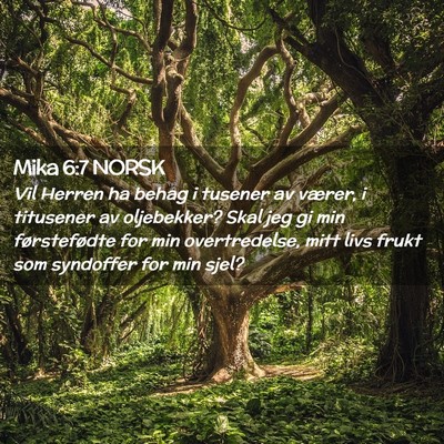 Picture 02 - Mika 6:7 NORSK - Vil Herren ha behag i tusener av værer, i - Bible Verse Picture
