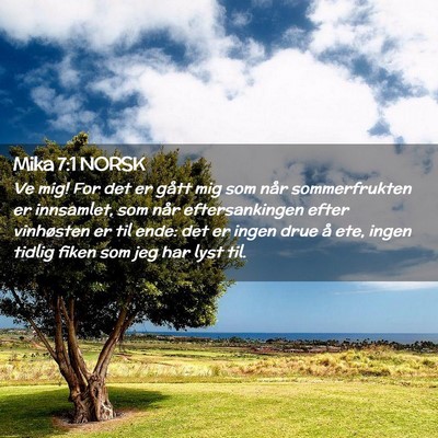 Picture 02 - Mika 7:1 NORSK - Ve mig! For det er gått mig som når - Bible Verse Picture