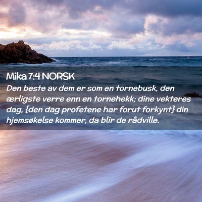 Picture 02 - Mika 7:4 NORSK - Den beste av dem er som en tornebusk, den - Bible Verse Picture